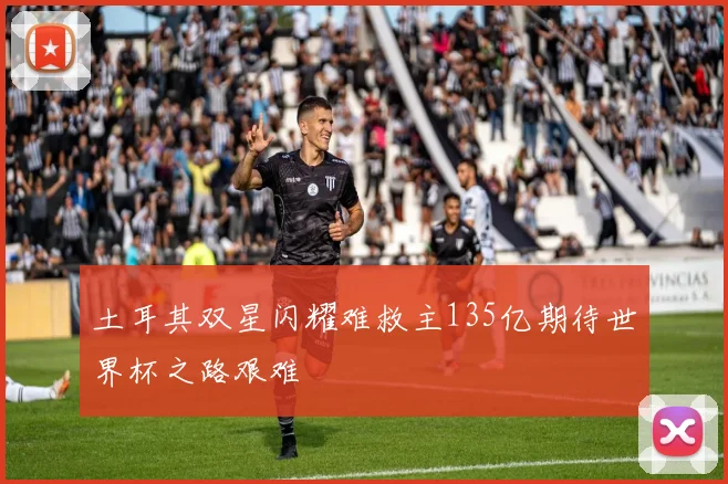 土耳其双星闪耀难救主135亿期待世界杯之路艰难